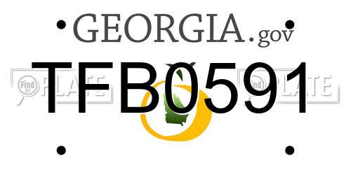 TFB0591 Georgia License Plate