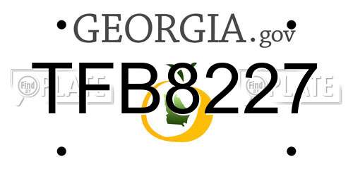 TFB8227 Georgia License Plate