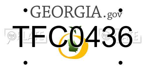 TFC0436 Georgia License Plate