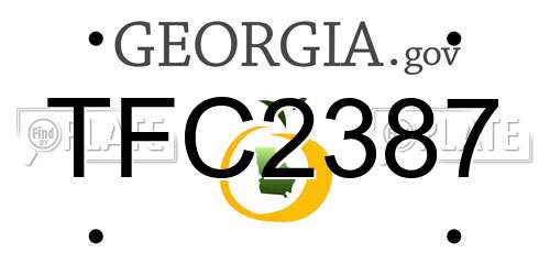 TFC2387 Georgia License Plate
