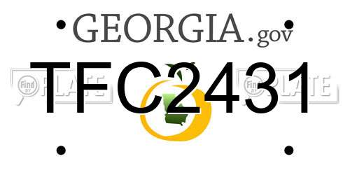 TFC2431 Georgia License Plate