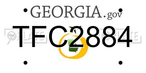 TFC2884 Georgia License Plate