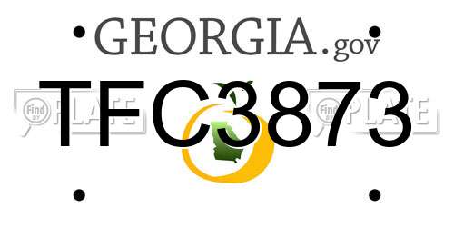 TFC3873 Georgia License Plate
