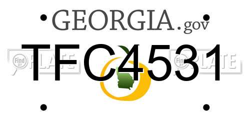 TFC4531 Georgia License Plate