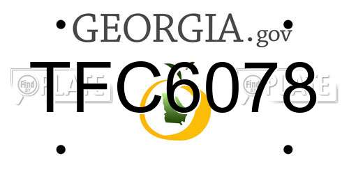 TFC6078 Georgia License Plate