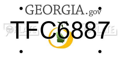 TFC6887 Georgia License Plate