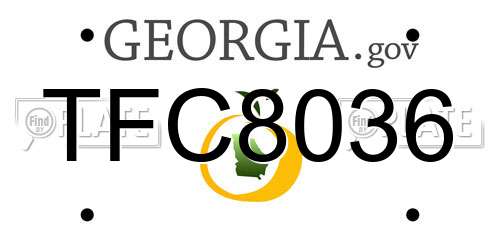 TFC8036 Georgia License Plate