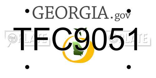 TFC9051 Georgia License Plate