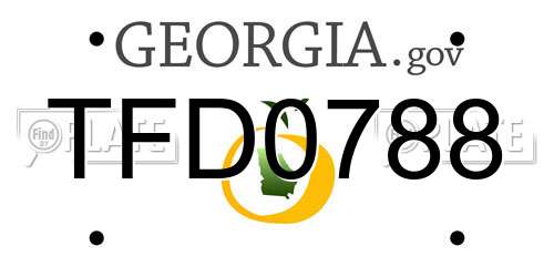 TFD0788 Georgia License Plate