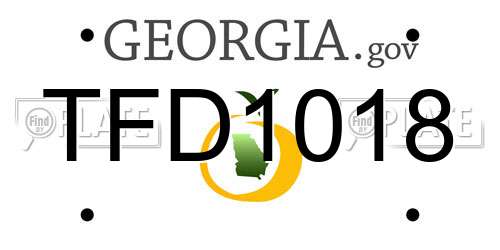 TFD1018 Georgia License Plate