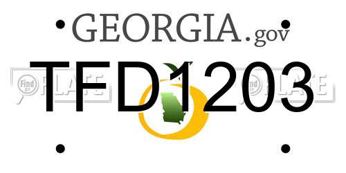 TFD1203 Georgia License Plate