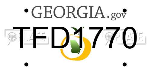 TFD1770 Georgia License Plate