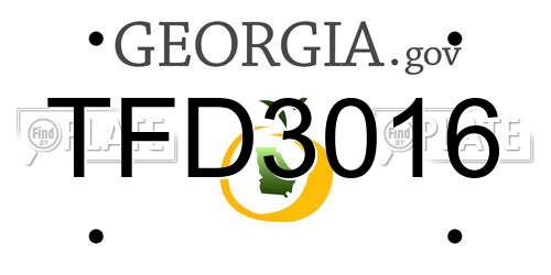 TFD3016 Georgia License Plate