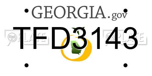 TFD3143 Georgia License Plate