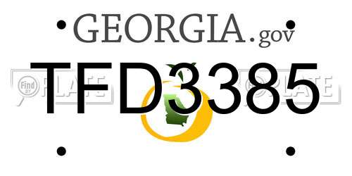 TFD3385 Georgia License Plate