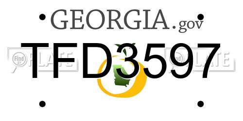 TFD3597 Georgia License Plate