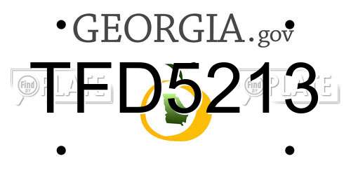 TFD5213 Georgia License Plate