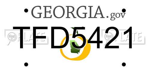 TFD5421 Georgia License Plate