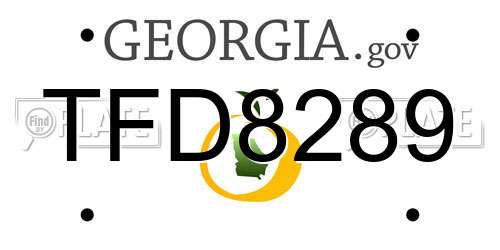 TFD8289 Georgia License Plate