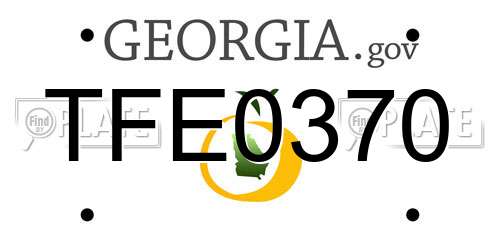 TFE0370 Georgia License Plate