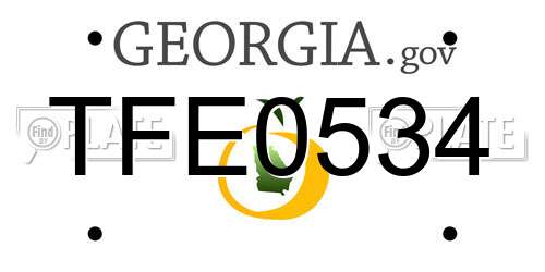 TFE0534 Georgia License Plate