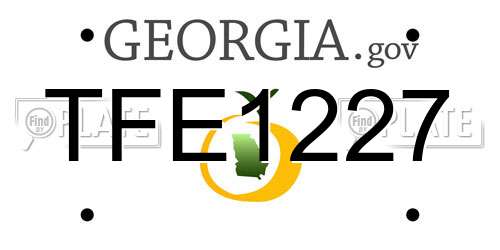 TFE1227 Georgia License Plate
