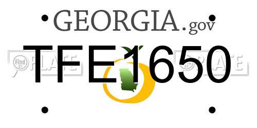 TFE1650 Georgia License Plate