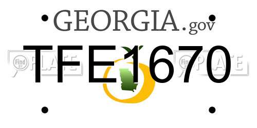 TFE1670 Georgia License Plate