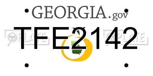 TFE2142 Georgia License Plate