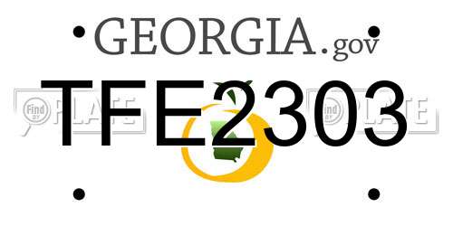 TFE2303 Georgia License Plate