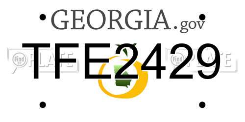 TFE2429 Georgia License Plate