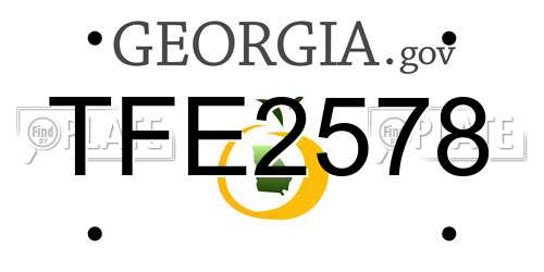 TFE2578 Georgia License Plate