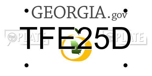 TFE25D Georgia License Plate