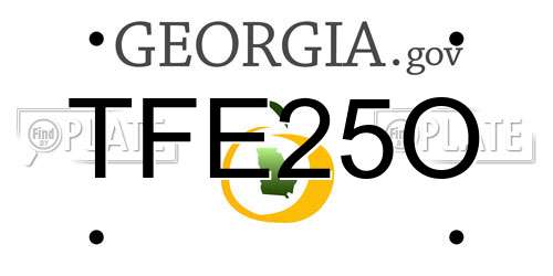 TFE25O Georgia License Plate