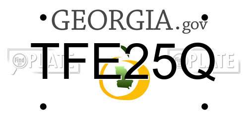 TFE25Q Georgia License Plate