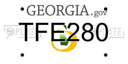 TFE280 Georgia License Plate