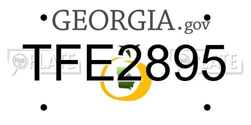 TFE2895 Georgia License Plate