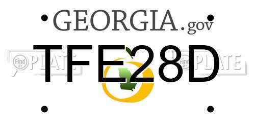 TFE28D Georgia License Plate