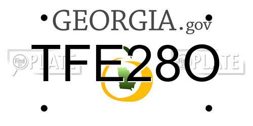 TFE28O Georgia License Plate