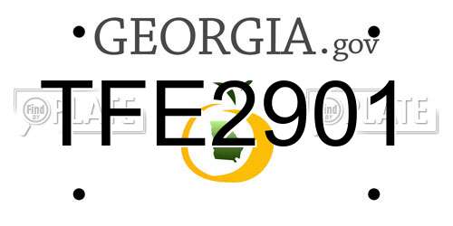 TFE2901 Georgia License Plate