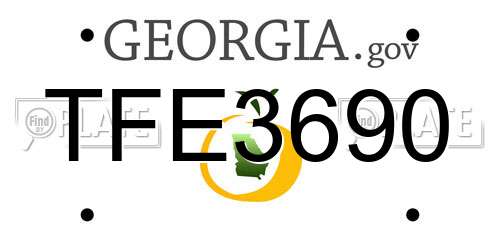 TFE3690 Georgia License Plate