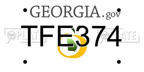 TFE374 Georgia License Plate