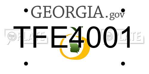 TFE4001 Georgia License Plate
