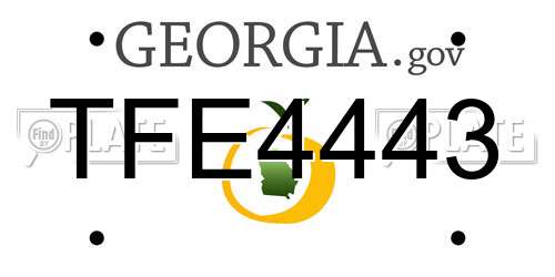 TFE4443 Georgia License Plate