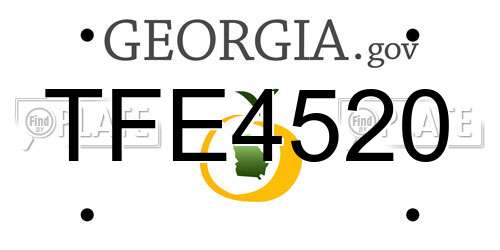 TFE4520 Georgia License Plate