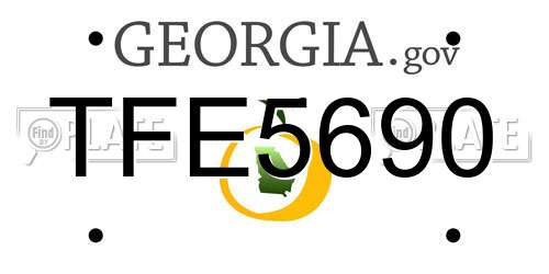 TFE5690 Georgia License Plate