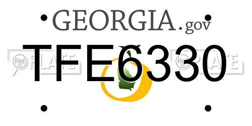 TFE6330 Georgia License Plate