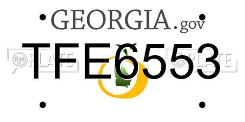 TFE6553 Georgia License Plate