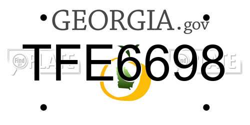 TFE6698 Georgia License Plate