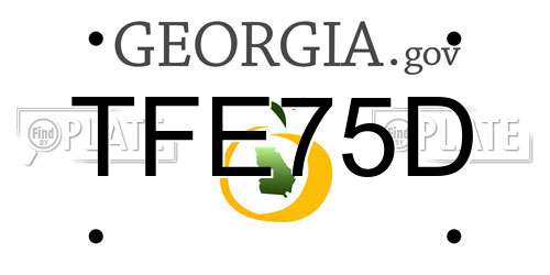 TFE75D Georgia License Plate